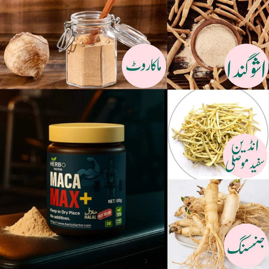 Maca Max+Booster (Vitality, Testosterone & Performance Support / ماکا میکس+) – 100g