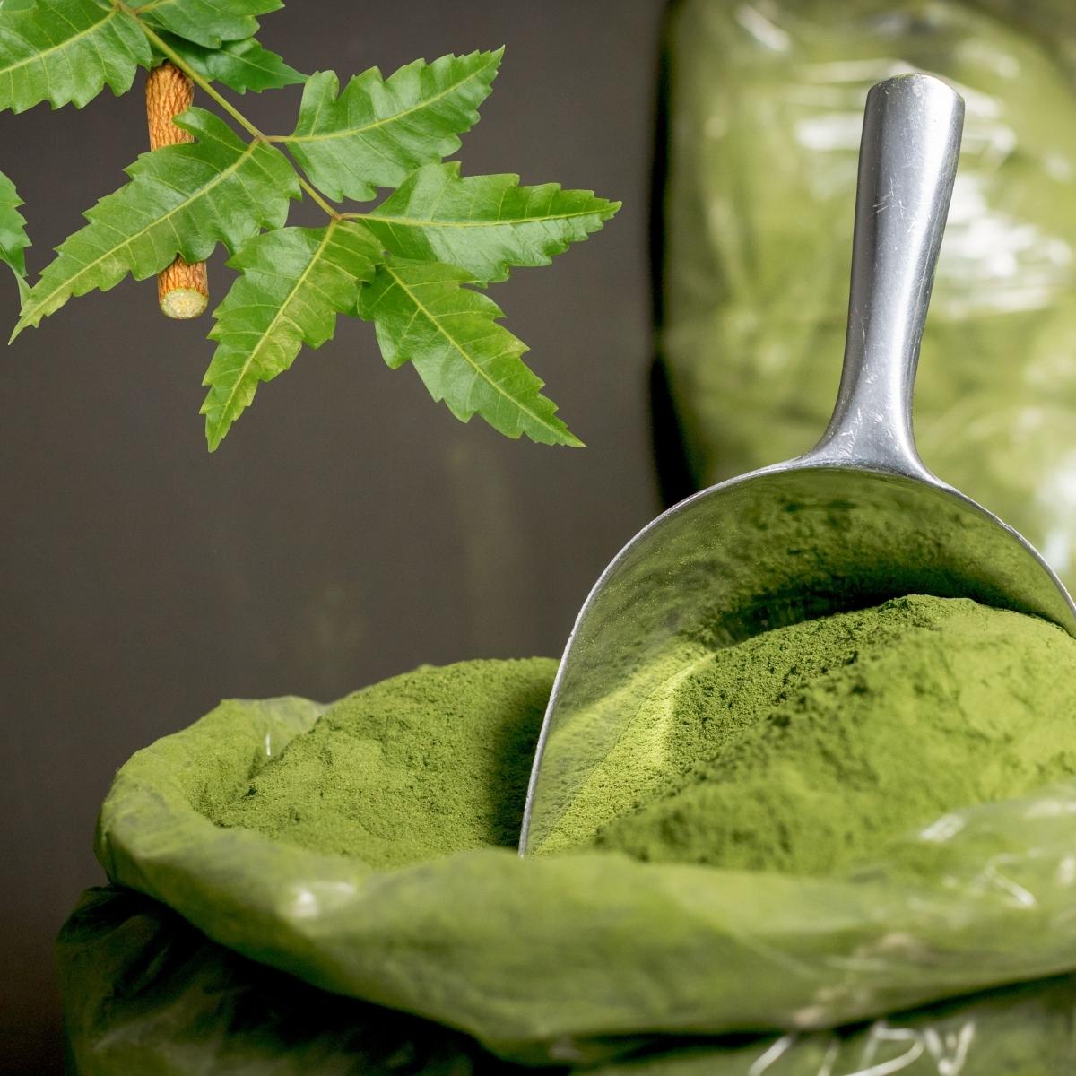 Neem Powder- (نیم پاؤڈر)
