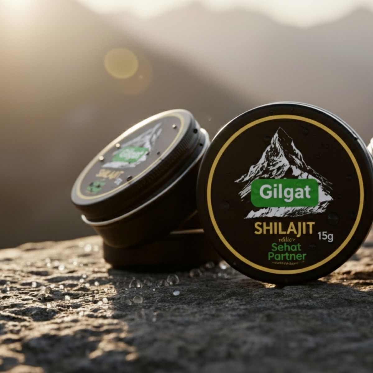 Gilgit Shilajeet (Natural Vitality & Stamina Booster / گلگت شلاجیت) – 15g