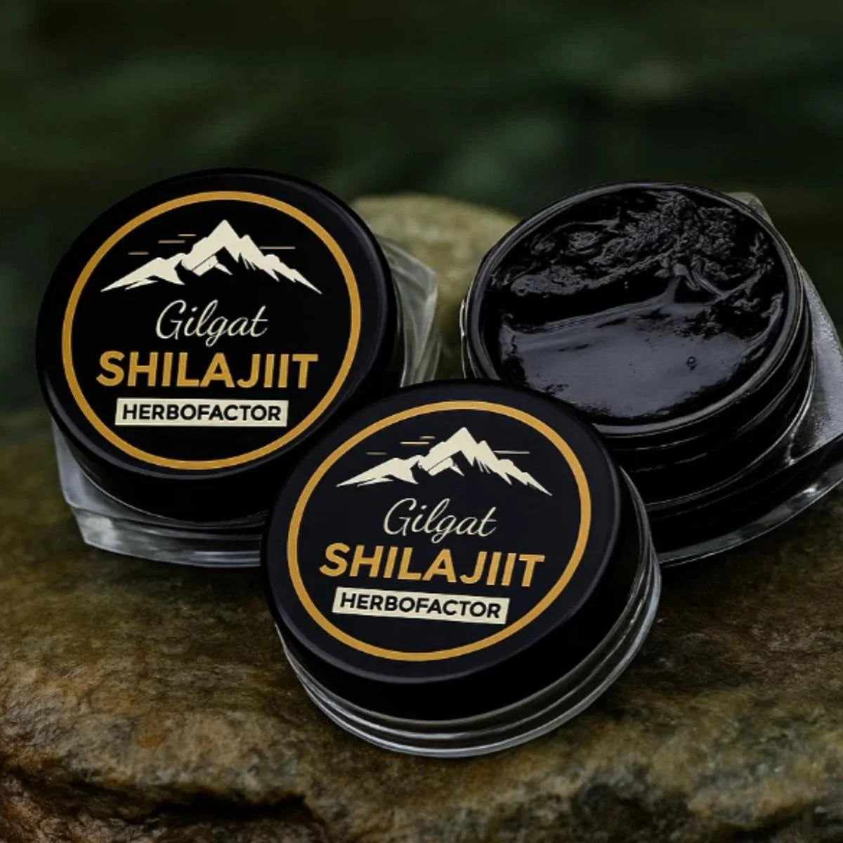Gilgit Shilajeet (Natural Vitality & Stamina Booster / گلگت شلاجیت) – 15g
